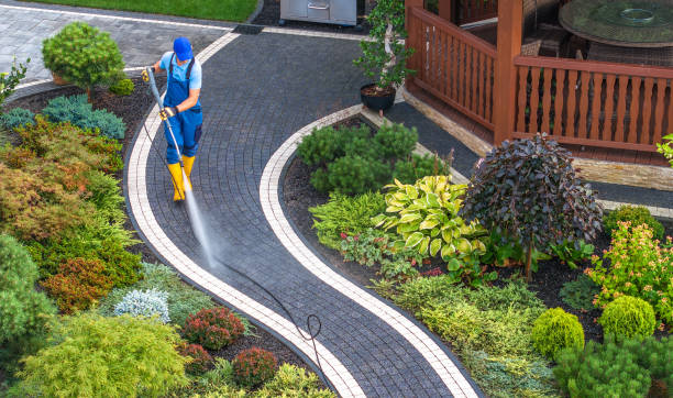 Best Roof Pressure Washing  in Lakemore, OH